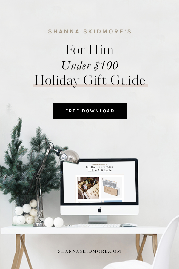 2018 Gift Guide | gifts for him under $100 | Shanna Skidmore